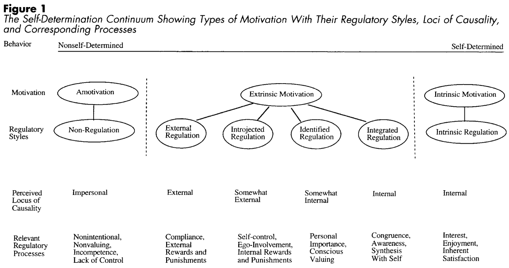 Self-Determination Continuum nach Ryan und Deci
